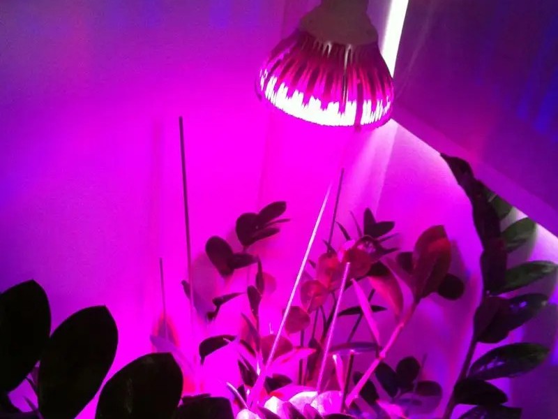 LED植物燈防爆合格證辦理流程？